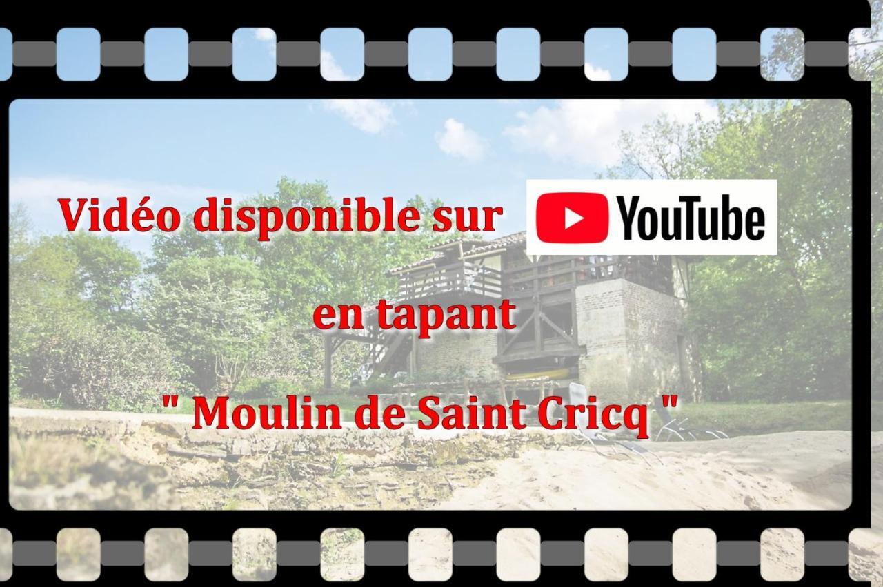 Moulin De Saint Cricq Villa Kültér fotó